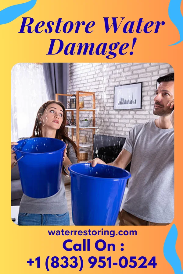 water restoration Elite Damage Recovery Payne Gap