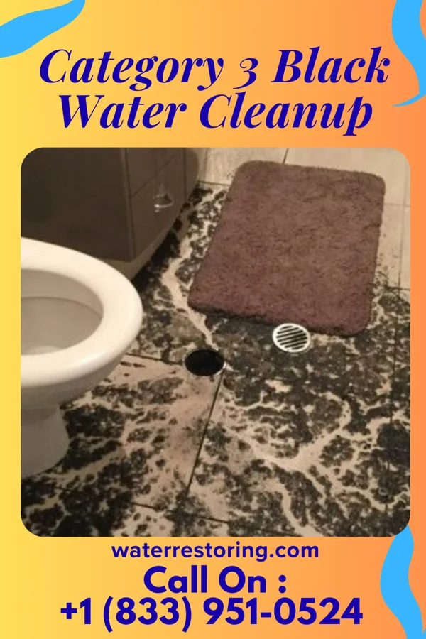 Category 3 Black Water Cleanup in Payne Gap, KY