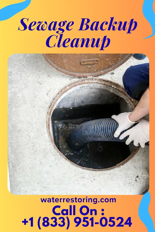 Sewage Backup Cleanup in Payne Gap, KY