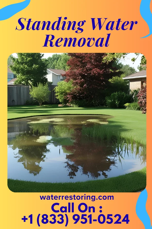 Standing Water Removal in Payne Gap, KY